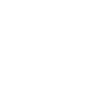 image-137-[Vectorized].png